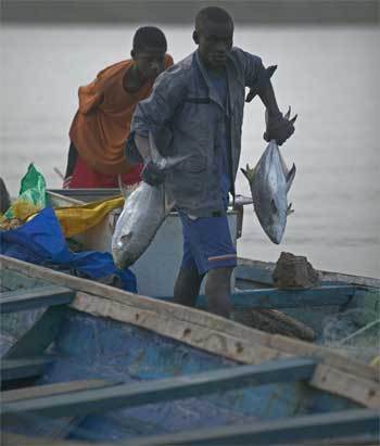 Les 208 licences accordées aux pêcheurs arrivent à expiration (officiel).