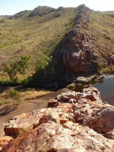 Les plus vieux fossiles du monde découverts en Australie