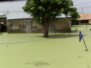 Victime des inondations, la population kaolackoise crache du feu sur son maire.