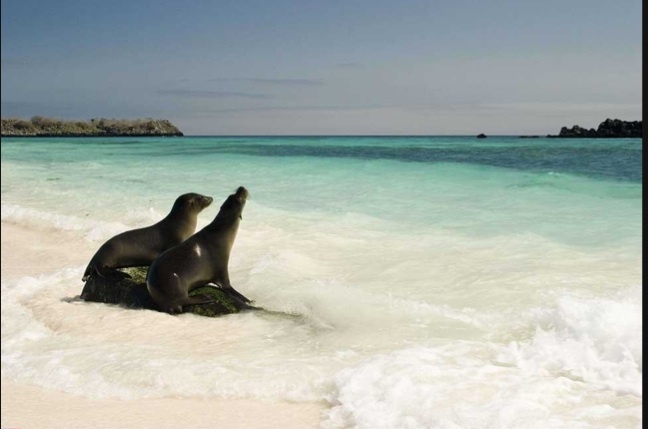 Les dix îles préférées des touristes
