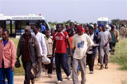 Expulsion de migrants sénégalais : Dakar invité à protester contre Madrid
