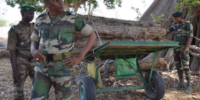 Altercation entre militaires gambiens et agents des eaux et forêts Sénégalais