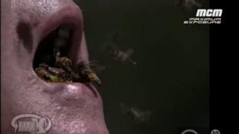 109 abeilles dans sa bouche (vidéo)