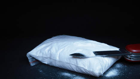26 milliards de F CFA de cocaïne saisis à Dubaï