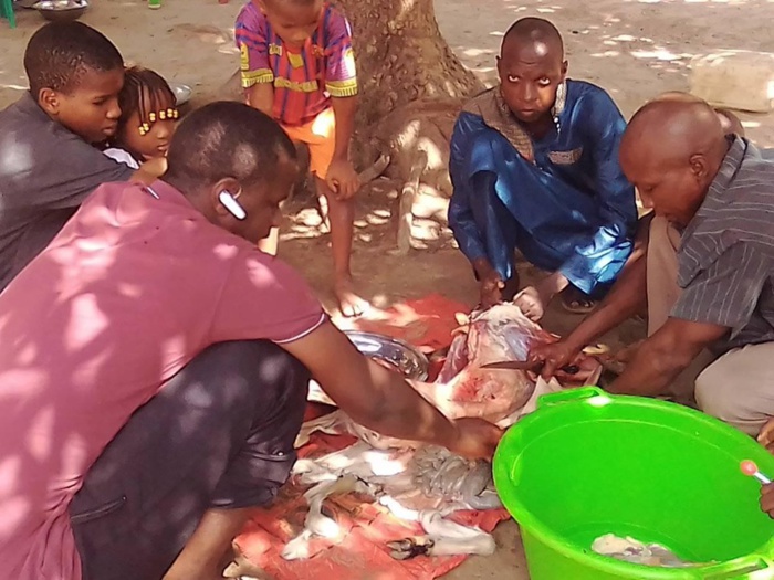 Tabaski 2019 à Kolda : Une partie de la communauté a célébré la Tabaski.