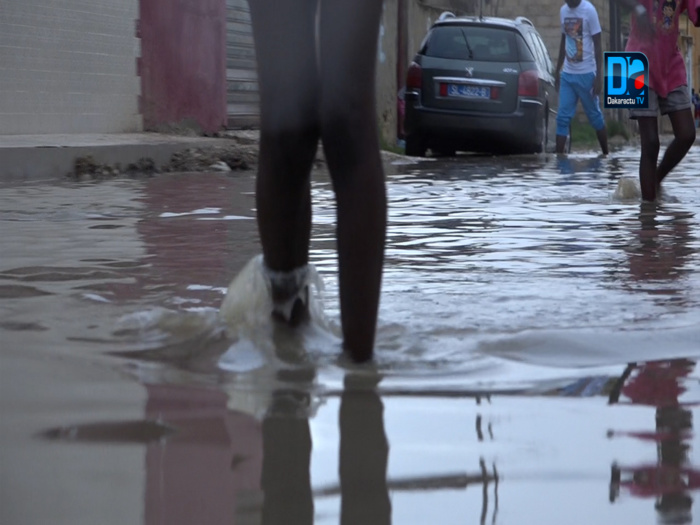 Précipitation à Saint-Louis : Plusieurs quartiers de la ville sous les eaux (images)