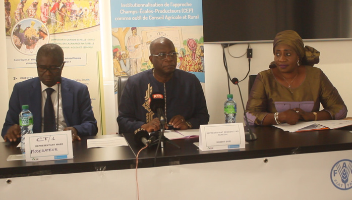 Agriculture/ANCAR : Vers l'intégration de l'approche Champ -École - Producteurs (CEP) dans le dispositif du CARS Agriculture/ANCAR : Vers l'intégration de l'approche Champ -École - Producteurs (CEP) dans le dispositif du CARS