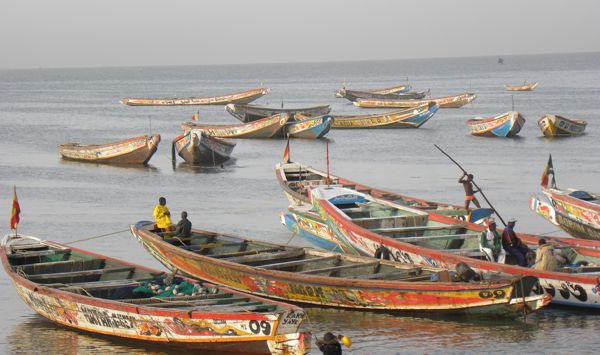 Pêche : Neuf pirogues sénégalaises arraisonnées par les garde-côtes bissau-guinéens