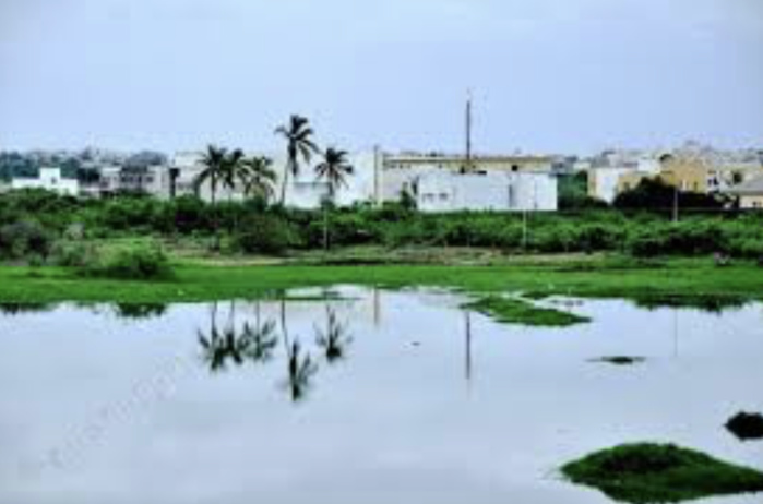 Fadia : Une déficiente mentale tuée, les yeux arrachés Fadia : Une déficiente mentale tuée, les yeux arrachés
