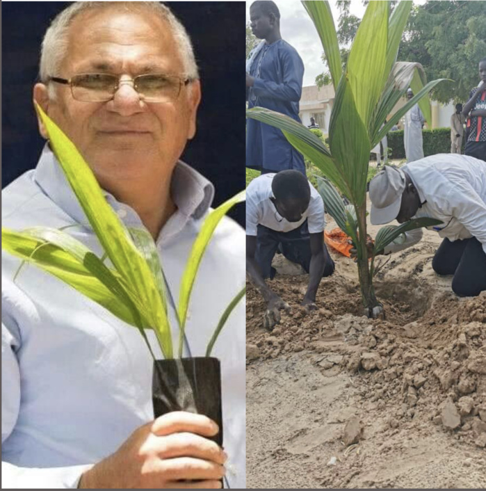 Environnement :  Pour Reverdir le Sénégal, Macky mise sur un duo d'écologistes engagés.