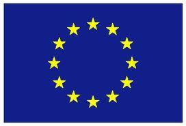 La Mission européenne déplore «un manquement de nature à entacher le scrutin»