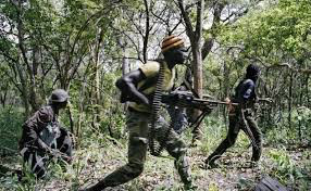 Casamance : Attaque inopinée de 4 individus armés à Saliotte 