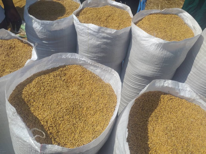 TOURNÉE DU MAER À KOLDA / Moussa Baldé : «  Nous allons faire du bassin de l’Anambé une valeur sûre de l’autosuffisance en riz… »