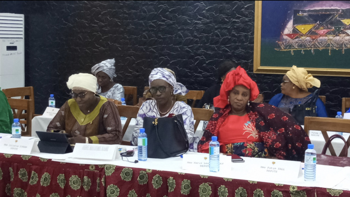 Atelier de partage des femmes parlementaires sur les perspectifs genres dans le budget programme de 2020 (Images)