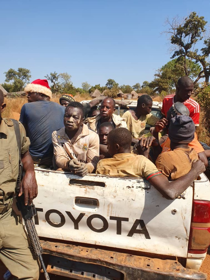 Sénégal - Trafic de bois : Les agents des Eaux et Forêts arrêtent 9 délinquants 
