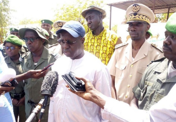 Protection des forêts : 119 emprisonnements notés en 2019 Protection des forêts : 119 emprisonnements notés en 2019