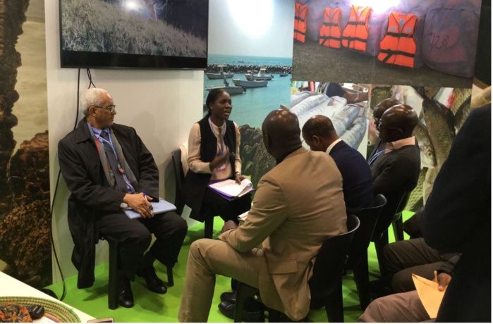 Négociations COP 25 – L’accompagnement de l’Ambassade en Espagne espéré par la délégation sénégalaise Négociations COP 25 – L’accompagnement de l’Ambassade en Espagne espéré par la délégation sénégalaise