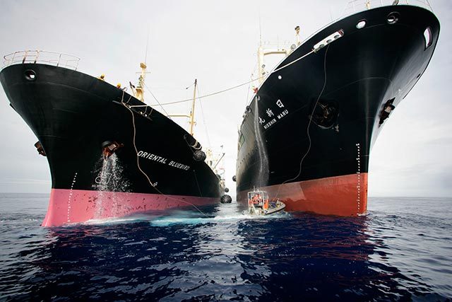 Les félicitations de Greenpeace Afrique à Macky Sall.