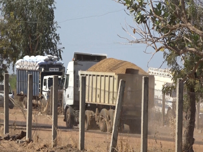 Commercialisation de l'arachide / Sonacos Kaolack : 06 camions réceptionnés depuis le début de la campagne (Images) Commercialisation de l'arachide / Sonacos Kaolack : 06 camions réceptionnés depuis le début de la campagne (Images)