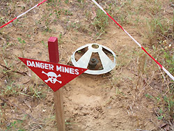 Casamance : Un homme saute sur une mine dans le nord Sindian