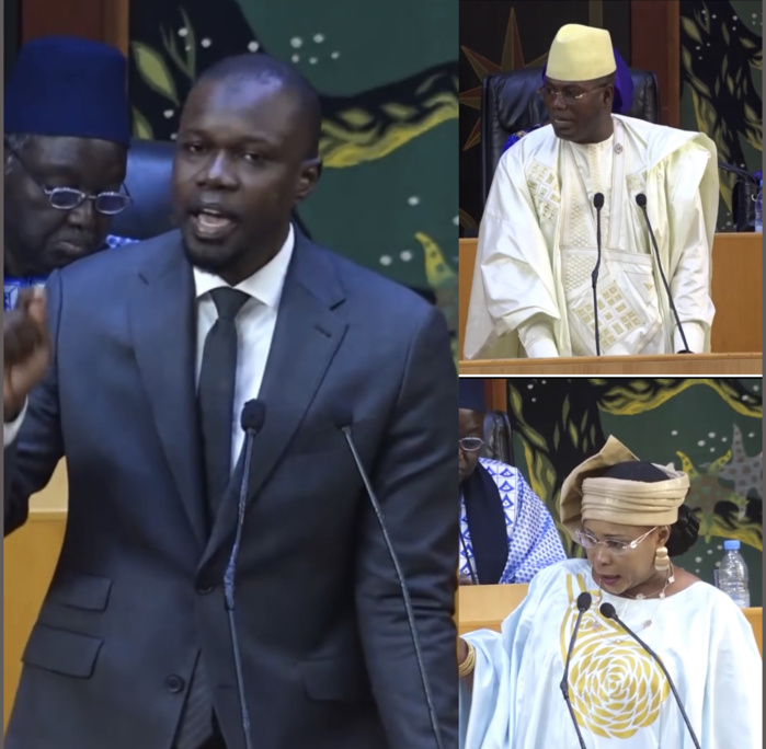 Décryptage / Les plénières vues sur Internet : Sonko, Mame Diarra Fam, Bara Dolly… les députés vedettes des réseaux sociaux