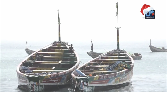 Surexploitation et utilisation de techniques de pêche prohibées : Un forum offert pour discuter des problèmes du littoral.