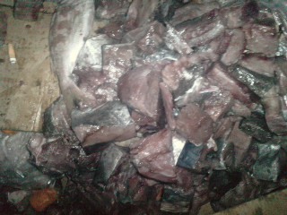 Regardez les images des poissons et viandes pourris à l'origine du soulèvement d'hier soir des étudiants au campus