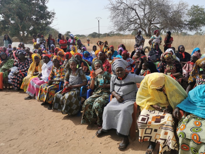 Popenguine : Les populations dans la rue pour exiger le départ du directeur d'école. Popenguine : Les populations dans la rue pour exiger le départ du directeur d'école.
