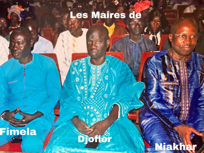 Le Maire de Djofior Youssou Diom plaide pour l'intercommunalité...