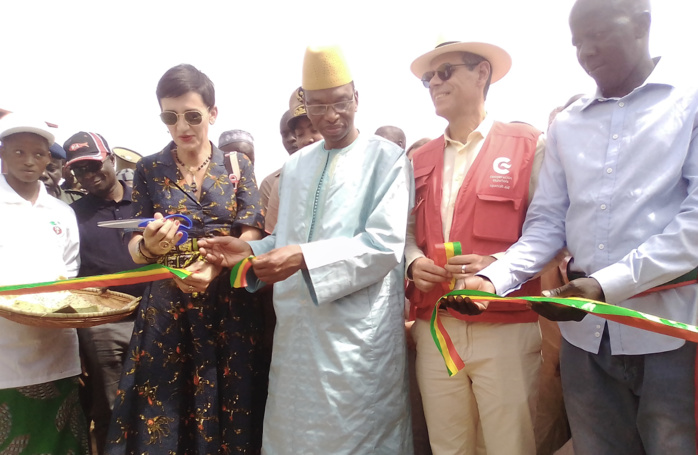 Lutte contre le chômage et l’émigration clandestine à Kolda : Les fermes « naatangué » comme début de solution… Lutte contre le chômage et l’émigration clandestine à Kolda : Les fermes « naatangué » comme début de solution…