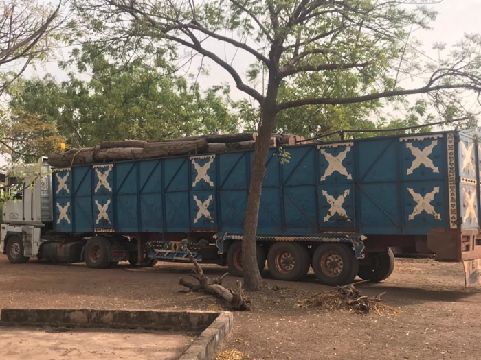 Trafic de bois : Deux camions chargés de bois de Venne arrêtés à la périphérie du Niokolo