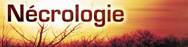 Bignona : une jeune fille battue à mort par son tuteur