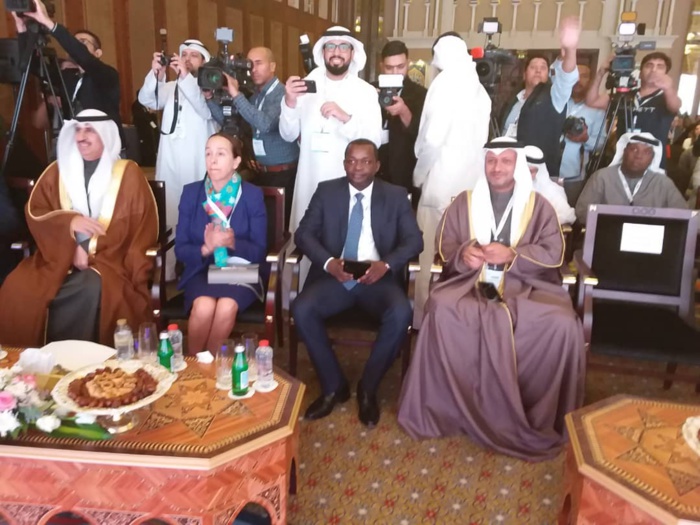 AVIATION CIVILE : Une académie d'aviation à Diass annoncée lors du Sommet de Dubaï