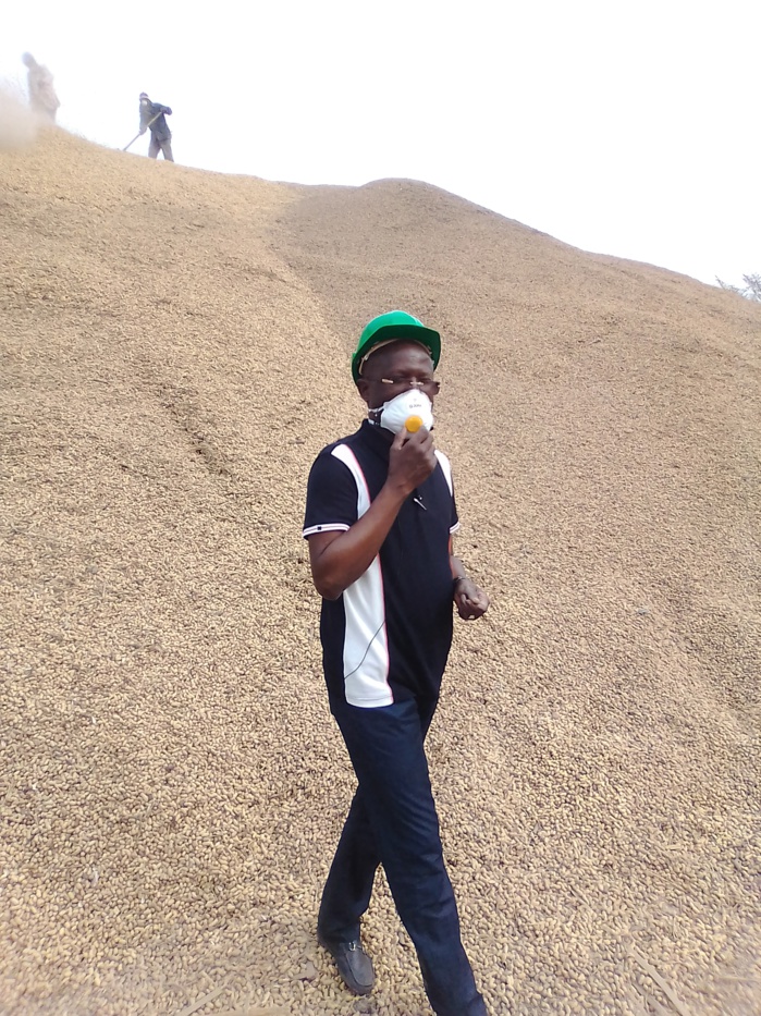 Campagne de commercialisation de l’arachide à Kolda / Modou Diagne Fada (DG de la Sonacos) : «La zone sud est aujourd’hui la première zone de collecte d’arachide pour la Sonacos…»