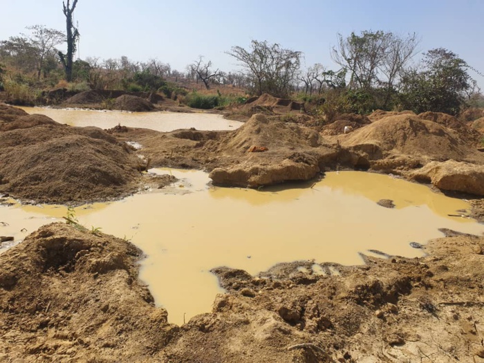 Kédougou - Orpaillage clandestin : 10 délinquants arrêtés et déférés au tribunal d'instance de Saraya