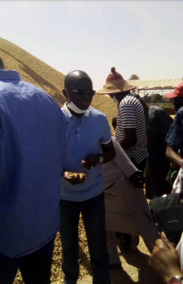 Modou Diagne Fada : "D'ici quelques jours,  les opérateurs qui ne viendront pas nous vendre leurs productions, seront obligés de nous les vendre à 210 FCFA".