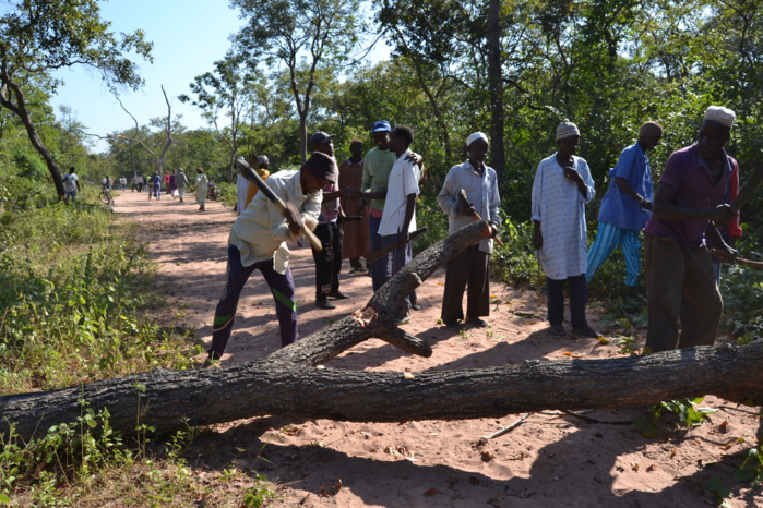 KOLDA : Les populations de Saré Damboulou réclament des services sociaux de base et… KOLDA : Les populations de Saré Damboulou réclament des services sociaux de base et…