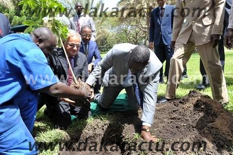 Journée mondiale de l'environnement: Les images du président Macky Sall entrain de planter un arbre (PHOTOS)