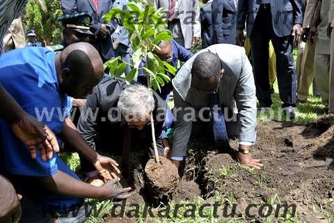 Journée mondiale de l'environnement: Les images du président Macky Sall entrain de planter un arbre (PHOTOS)