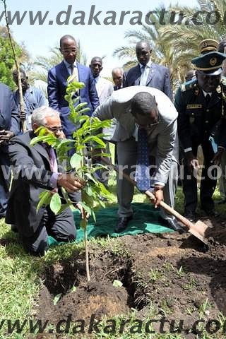 Journée mondiale de l'environnement: Les images du président Macky Sall entrain de planter un arbre (PHOTOS)