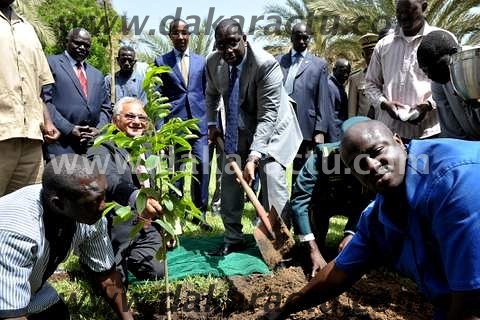 Journée mondiale de l'environnement: Les images du président Macky Sall entrain de planter un arbre (PHOTOS)