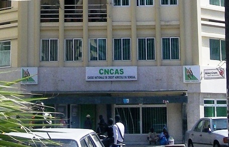 Bassirou Faty nommé à la tête de la Cnca