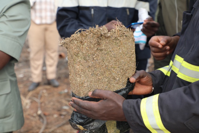 LUTTE CONTRE LE CRIME ORGANISE : La Douane sénégalaise a saisi 450 kg de chanvre indien.