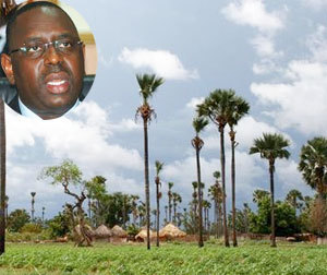 Macky Sall : "La Casamance sera le cadre d’expérimentation de la nouvelle politique de développement territorial"