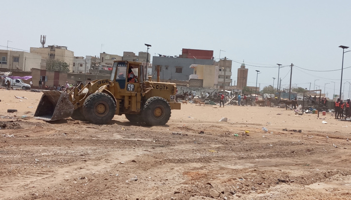 Propagation du Coronavirus : Gare routière et fourrière du stade Léopold Senghor rasées.