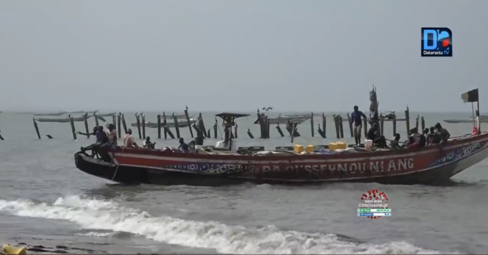 Attribution de licences aux navires chinois : Les professionnels de la pêche artisanale marquent leur indignation.