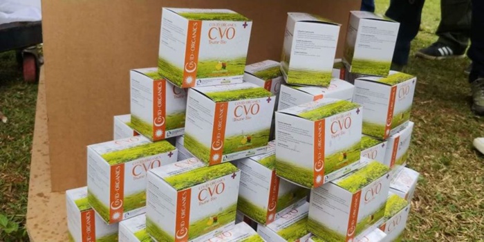 L'Artémisia, la tisane de Madagascar contre le COVID-19.