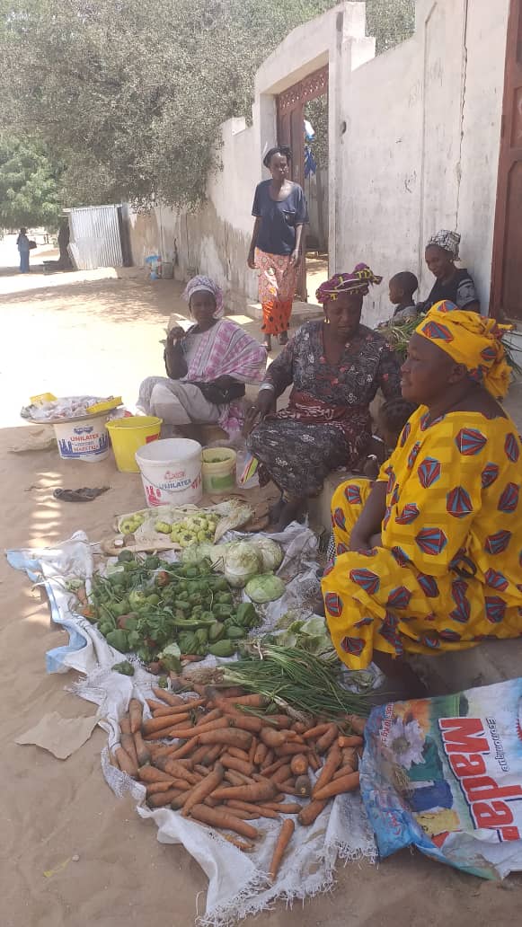 TOUBA EN OUVRE D'AUTRES / Les marchés "Yapp sa Jëkër" naissent comme des champignons et prennent le relais de Ocass... Mbacké inondée. TOUBA EN OUVRE D'AUTRES / Les marchés "Yapp sa Jëkër" naissent comme des champignons et prennent le relais de Ocass... Mbacké inondée.