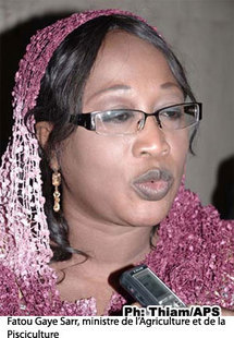 Lorsque Fatou Guèye Sarr singe les «cuillères» de Awa Ndiaye