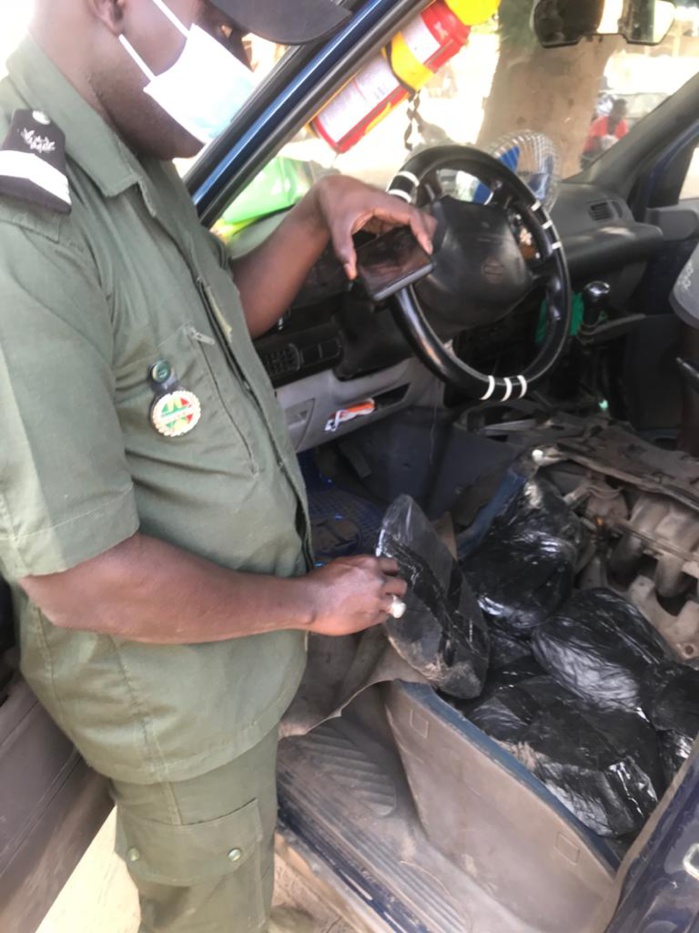 LUTTE CONTRE LE TRAFIC DE STUPEFIANTS : Saisie de 64 kg de chanvre indien et 6 cartons de cuisses de poulet par la Douane de Fatick. LUTTE CONTRE LE TRAFIC DE STUPEFIANTS : Saisie de 64 kg de chanvre indien et 6 cartons de cuisses de poulet par la Douane de Fatick.